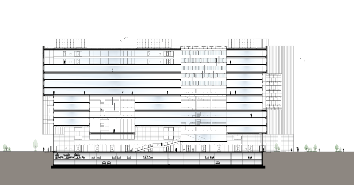 3202-03-004---Dwarsdoorsnede-opgewerkt