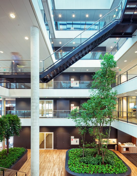 Architect-Interior-Design-Jumbo-and-Wärtsilä-Offices-Schiedam-MVSA-p7.jpg