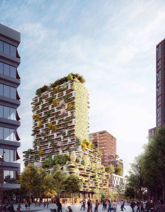 Wonderwoods-gree-roofs-arcadis-11