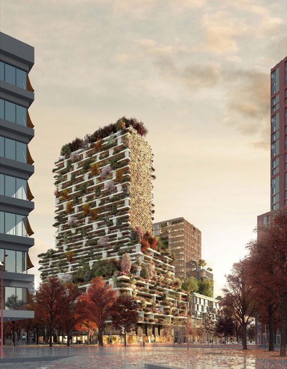 Wonderwoods-gree-roofs-arcadis-13