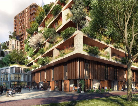 Wonderwoods-gree-roofs-arcadis-9